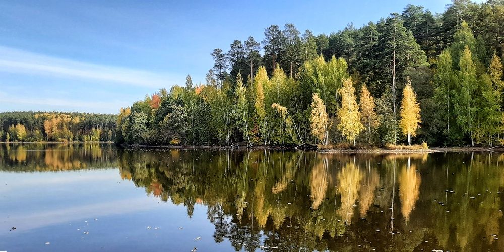 Photograph by Галина Мальцева