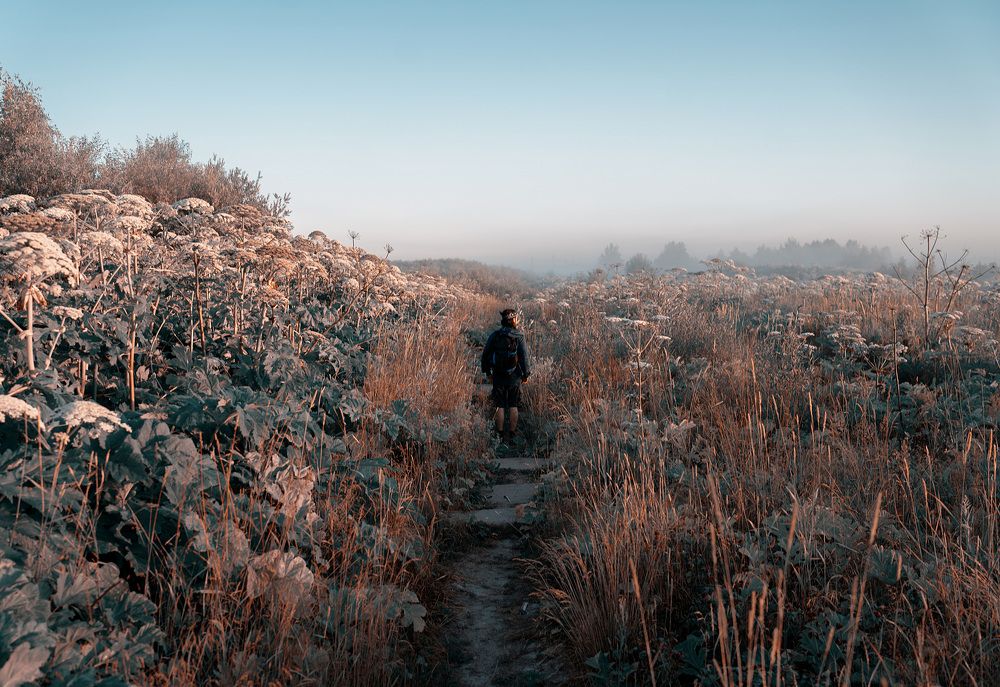 Photograph by Алексей Павлов