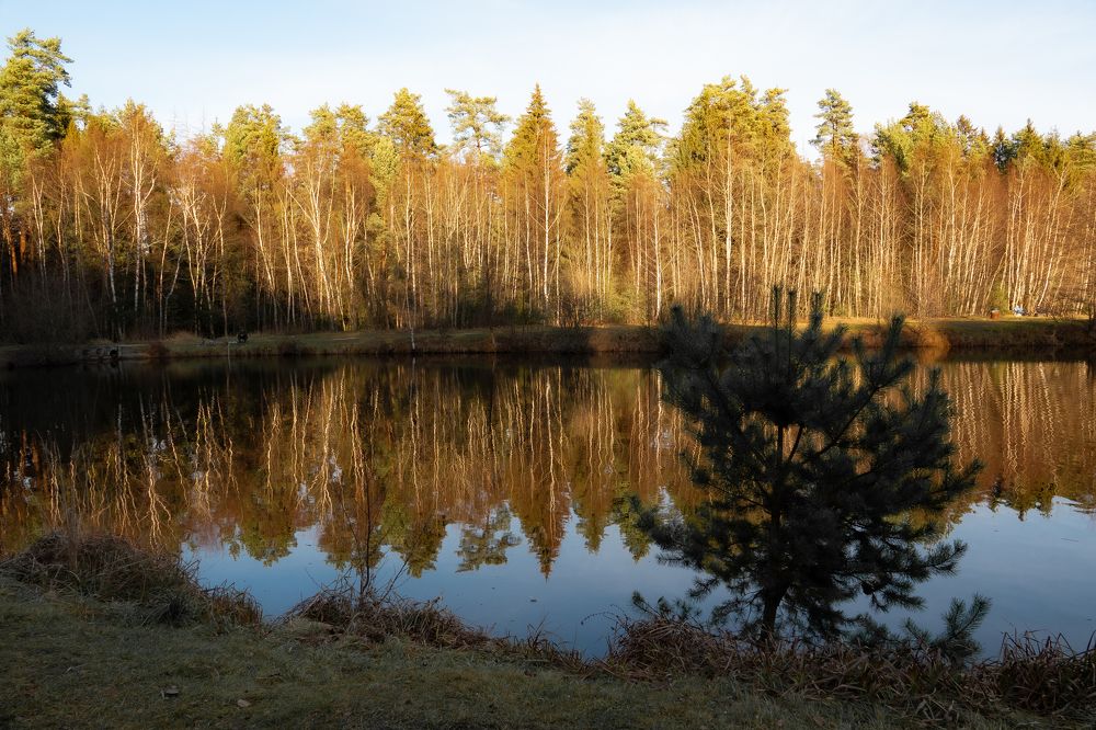 Photograph by Валентина Тагильцева