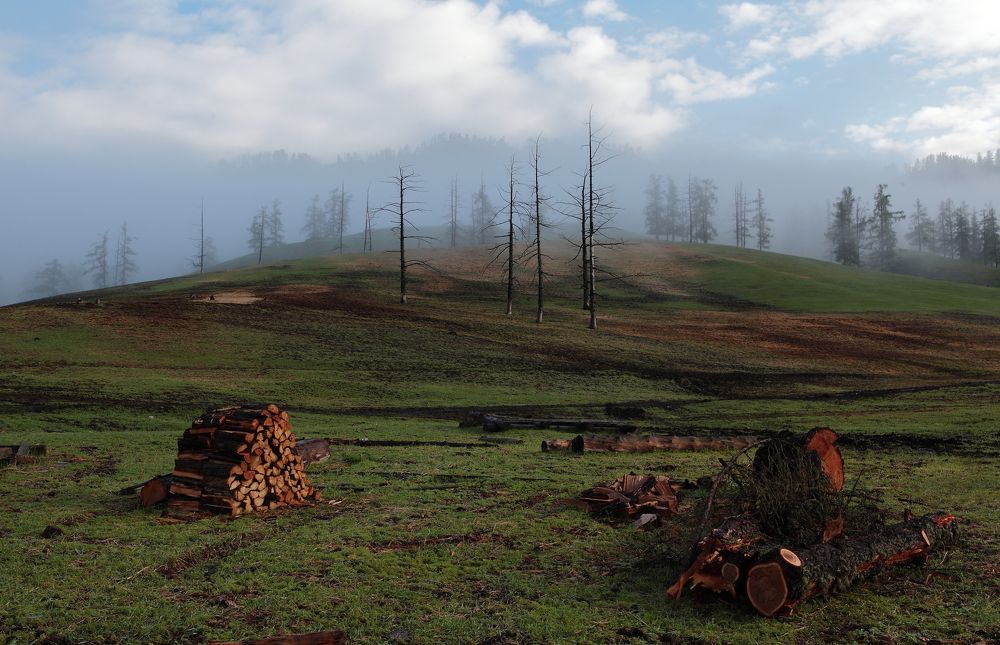 Photograph by Александр Полюдов