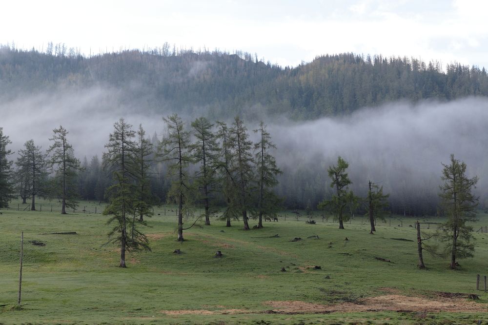 Photograph by Александр Полюдов