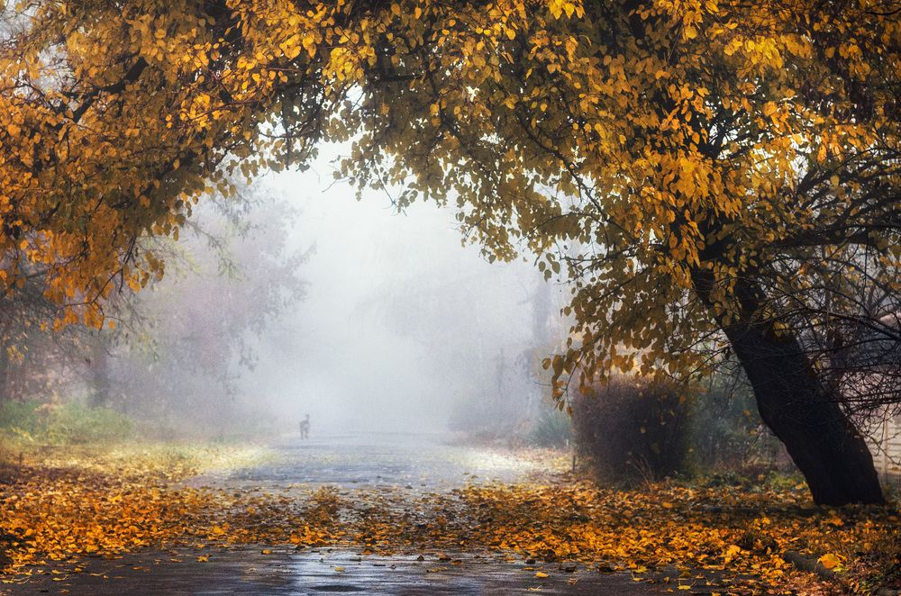 Photograph by Игорь Мелекесцев