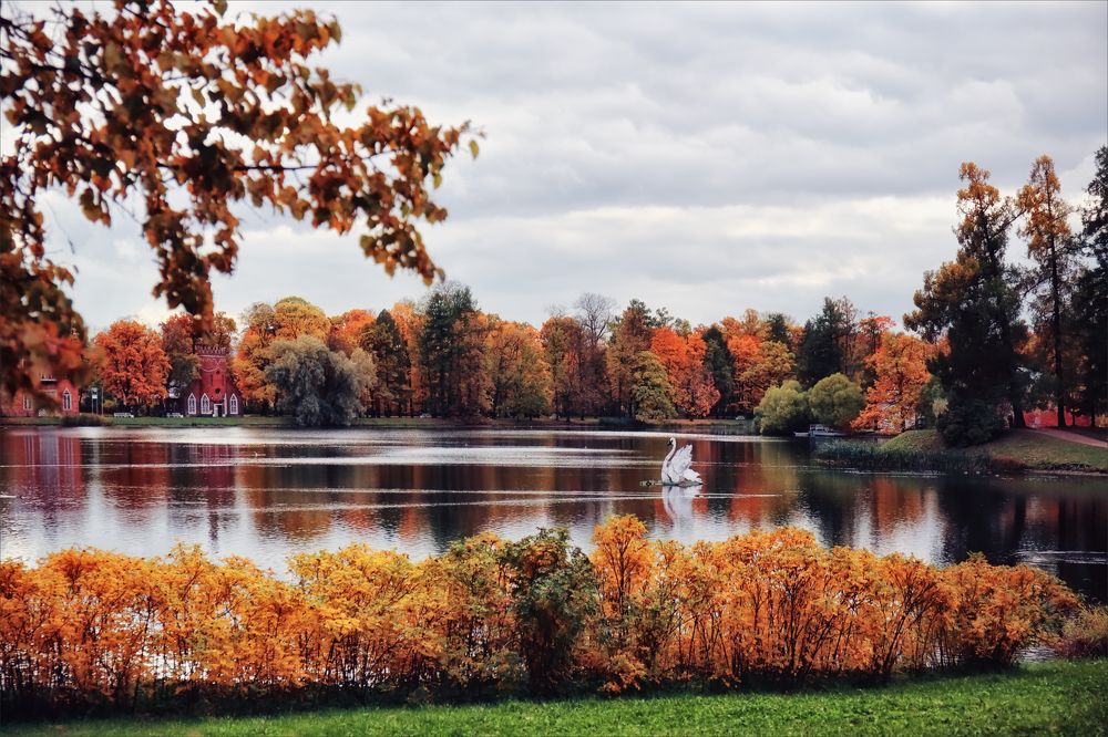 Photograph by Игорь Майоров