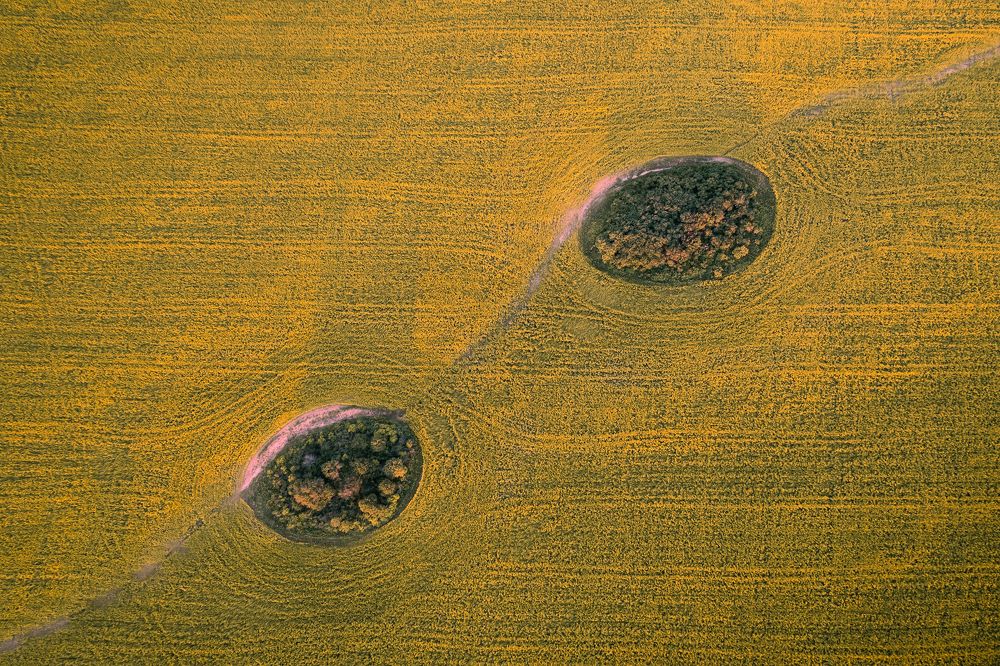 Photograph by Aleksey Mileshkin