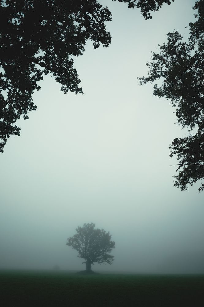 Photograph by Ingemars Vekteris