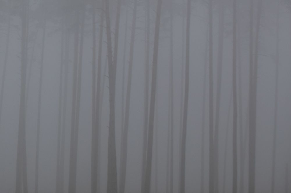 Photograph by Ingemars Vekteris