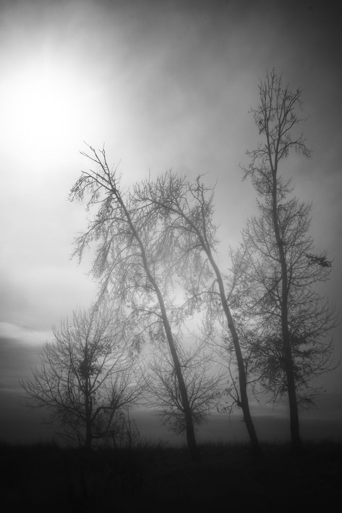 Photograph by Javad zavvar