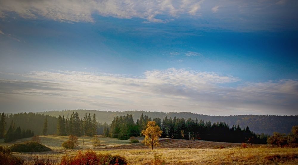 Photograph by Magdalena Kolenicova