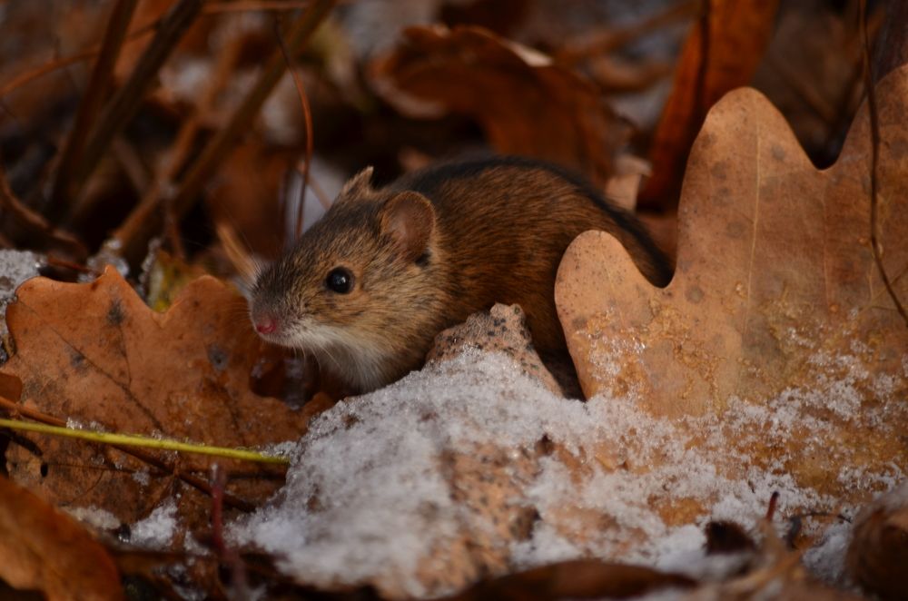 Photograph by Татьяна Козлова