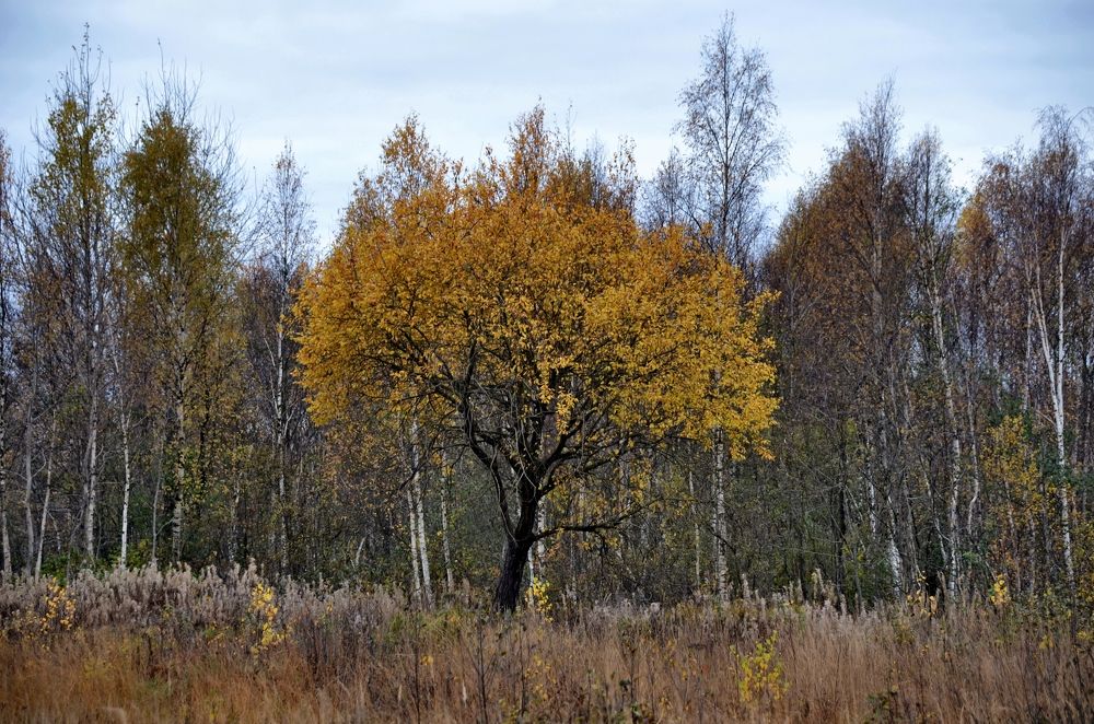 Photograph by Николай Соколовский
