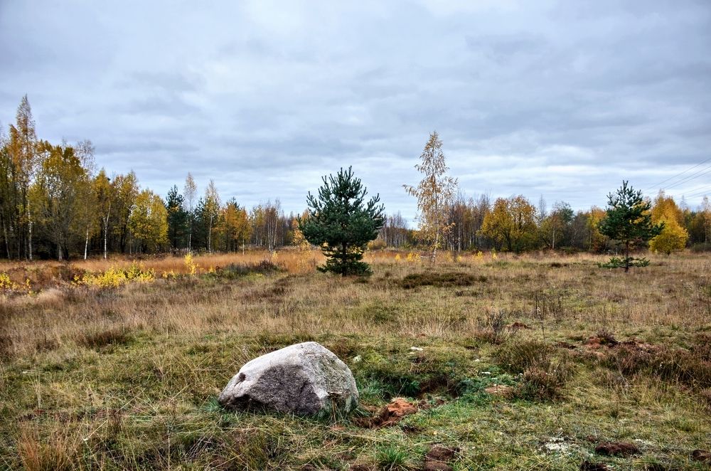 Photograph by Николай Соколовский