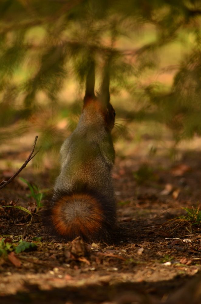 Photograph by Татьяна Козлова