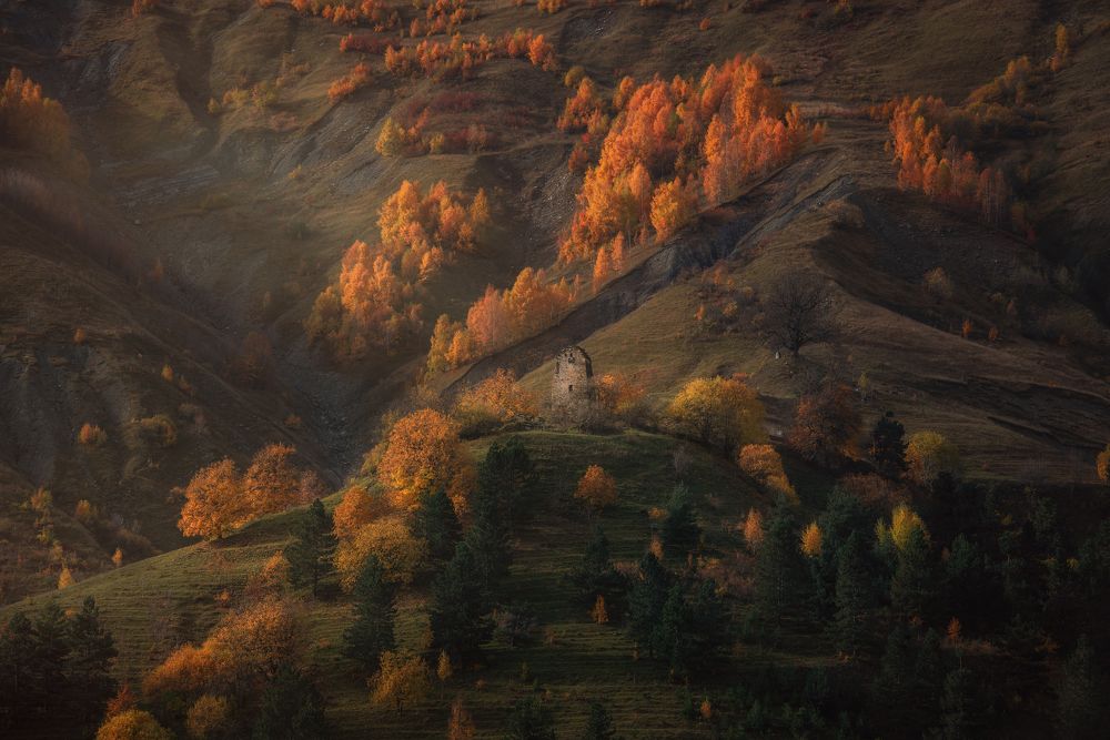 Photograph by Helen Vasilieva