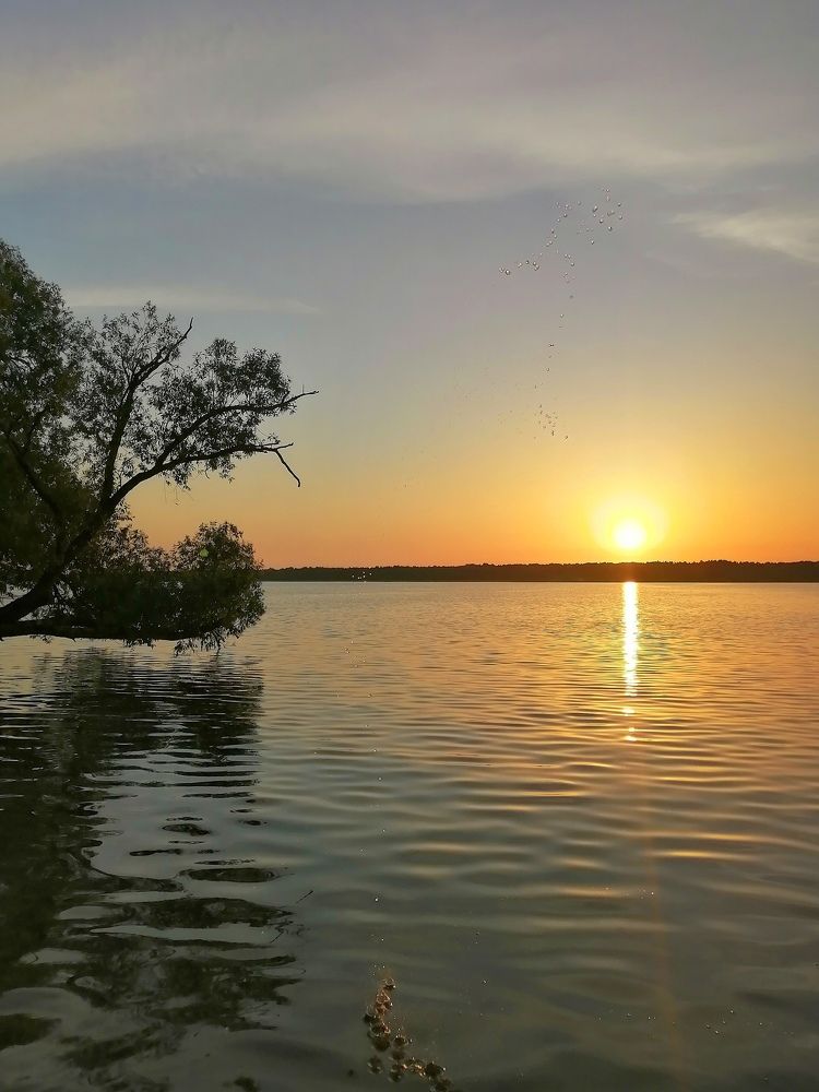 Photograph by Елена Лепешкина