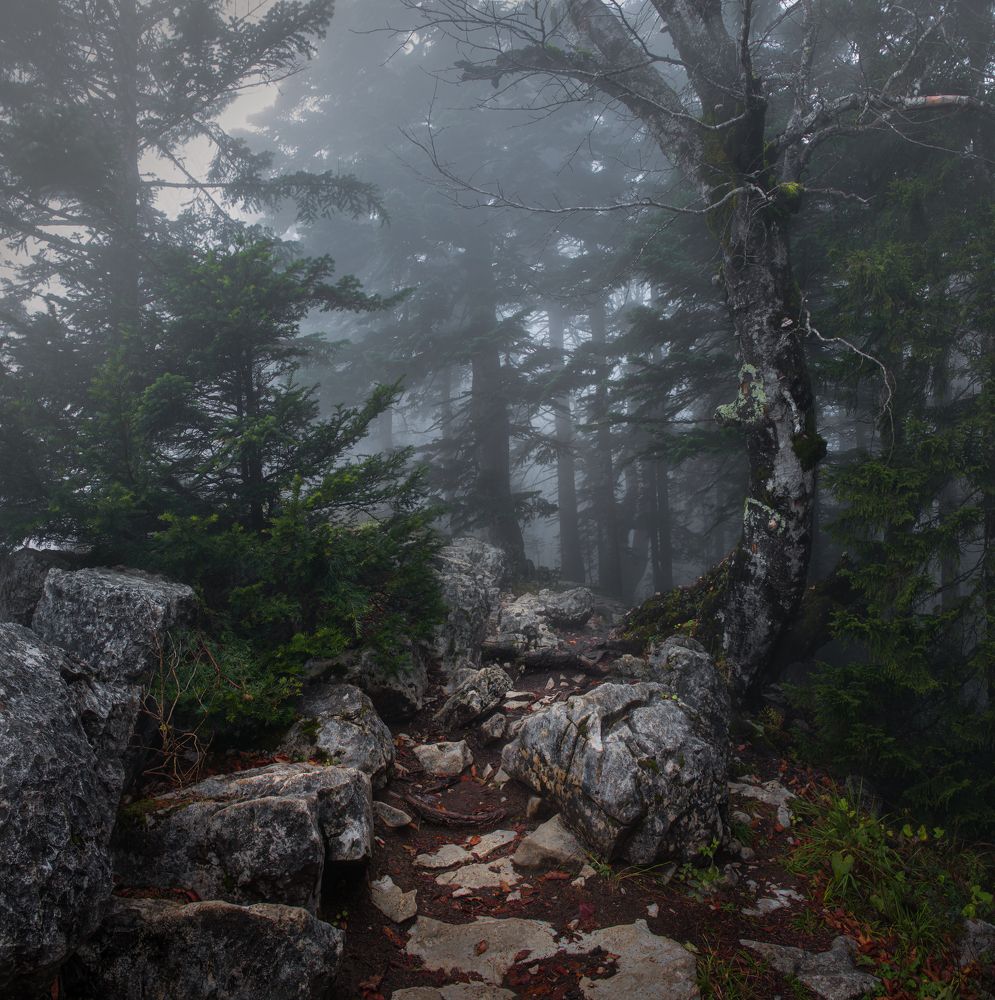 Photograph by Helen Vasilieva