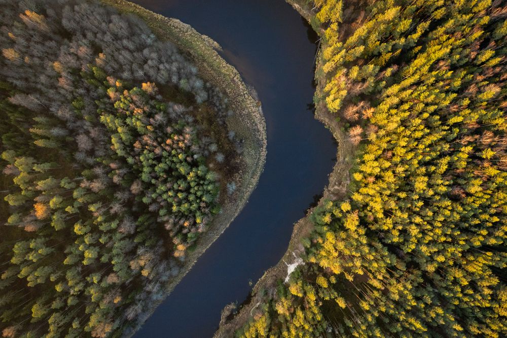 River Gauja (Latvia)