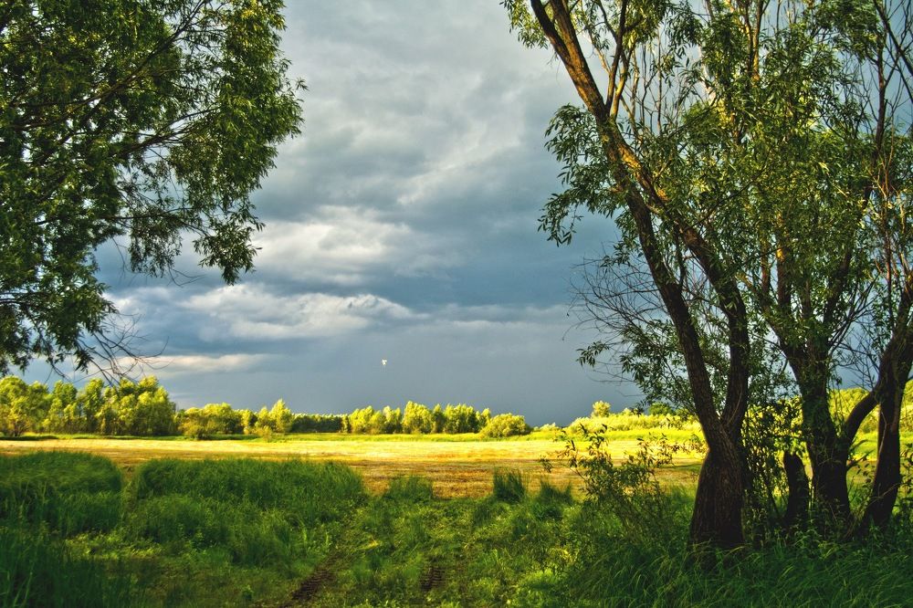 Photograph by Дмитрий Жуков