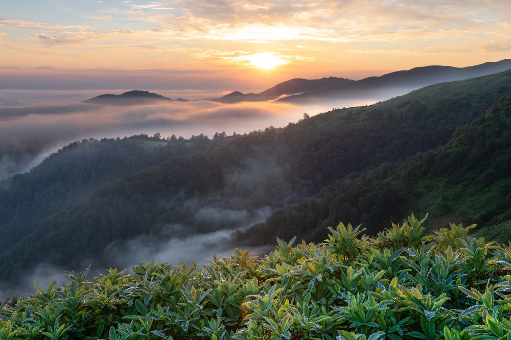 Photograph by Helen Vasilieva