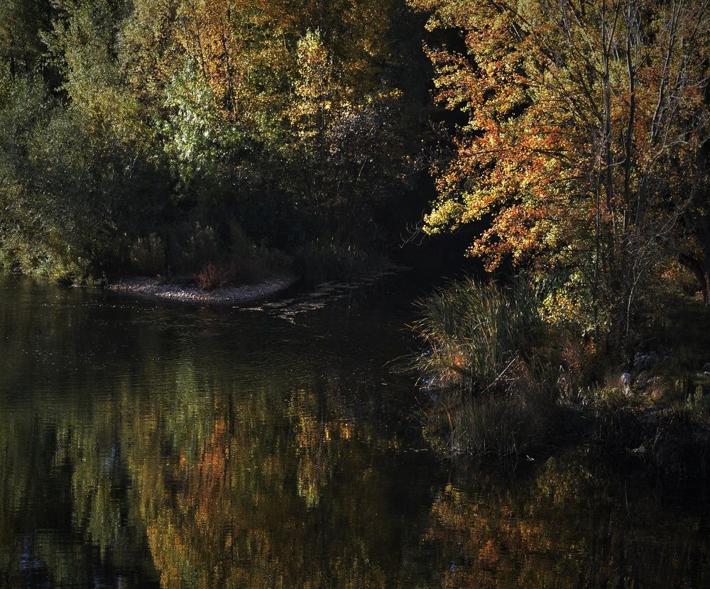 Photograph by José Ramón Domínguez