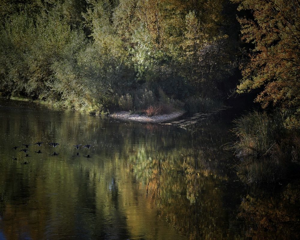 Photograph by José Ramón Domínguez