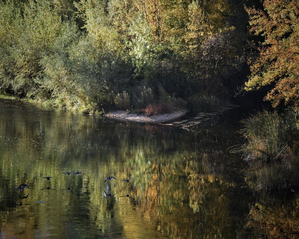Photograph by José Ramón Domínguez