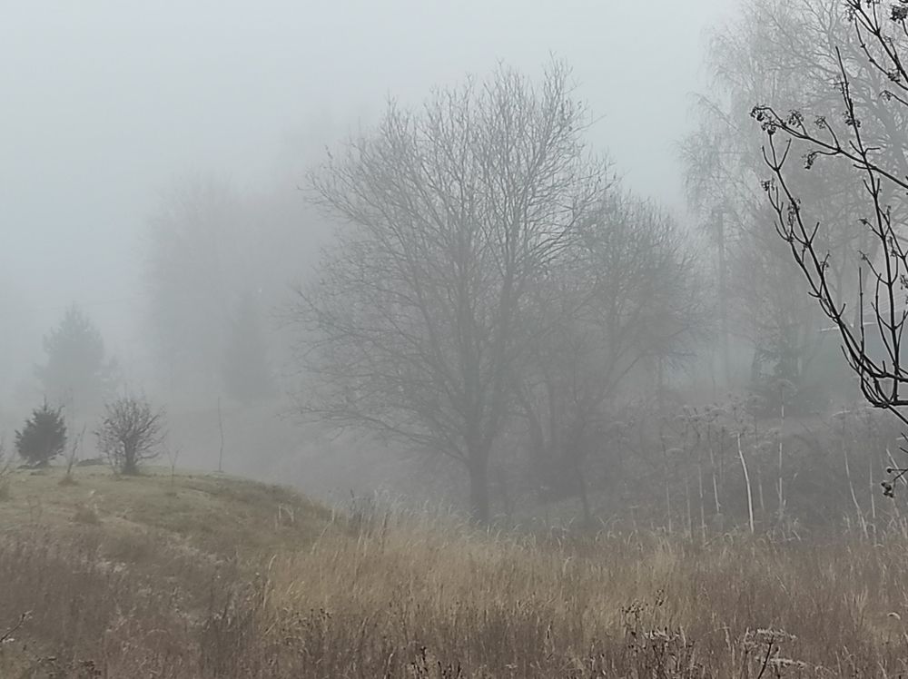 Photograph by Татьяна Перепелкина