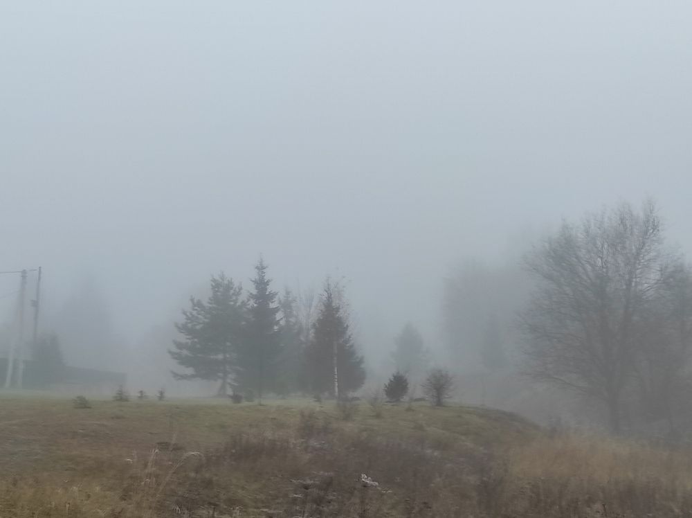 Photograph by Татьяна Перепелкина