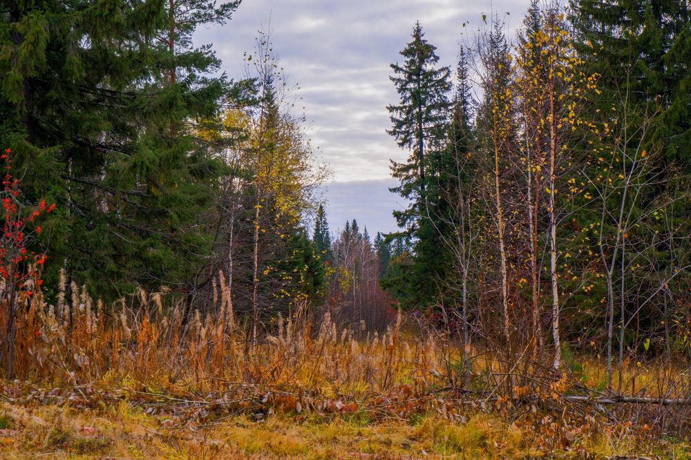 Photograph by Ольга Тюрина