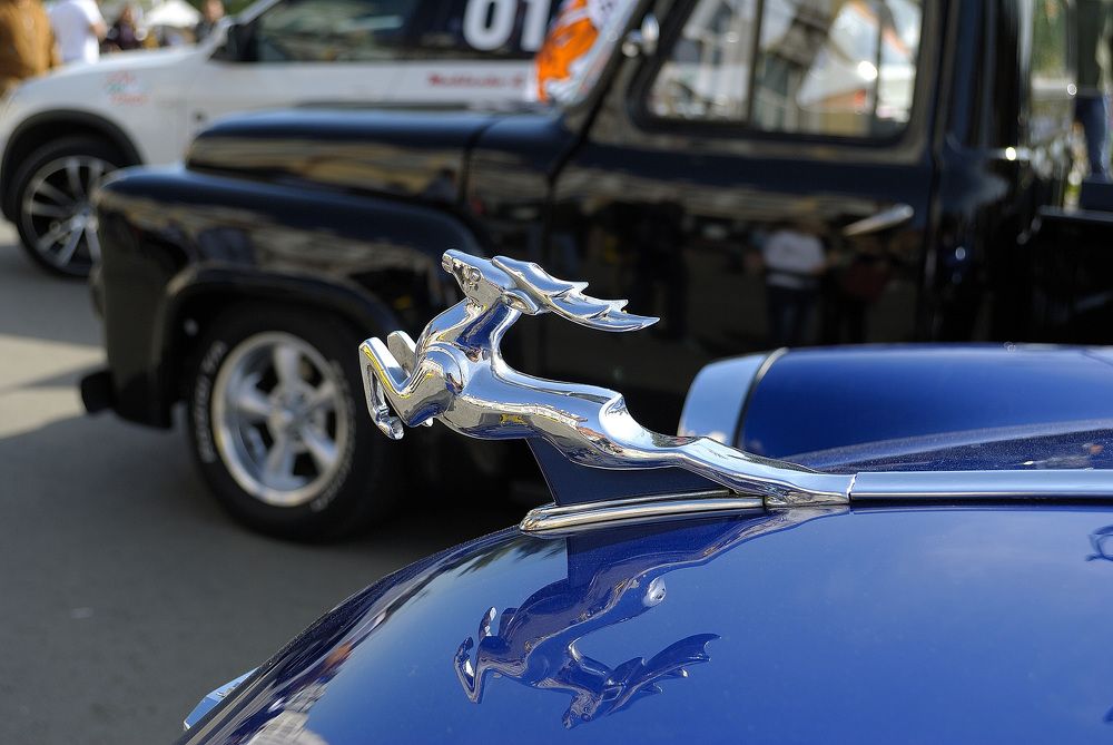 Photograph by Галина Патрушева