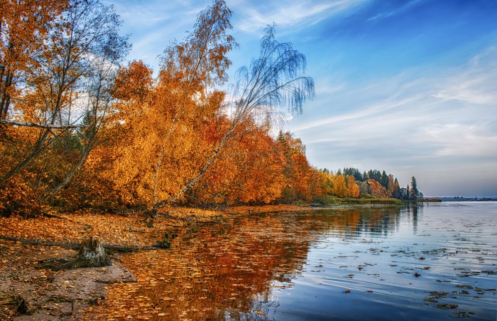 Художник Осень пишет вновь картины.