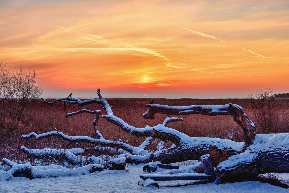 Северное побережье Невской губы