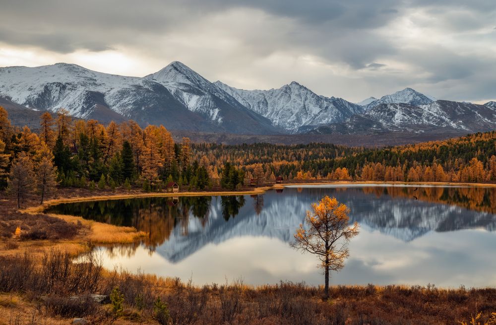 Photograph by lora_pavlova