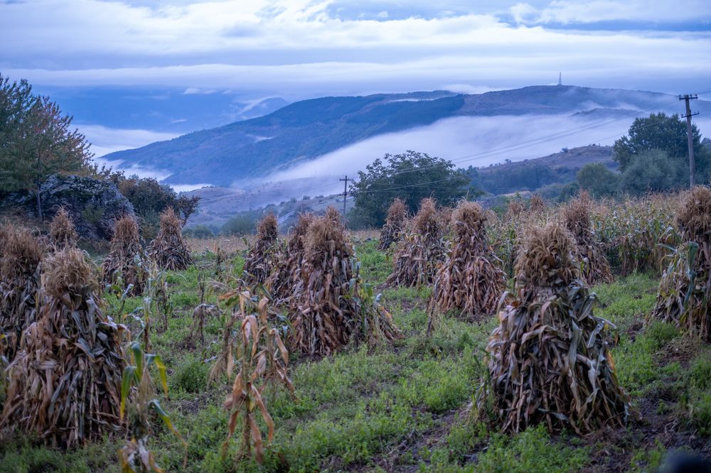 Photograph by Marc Nollet