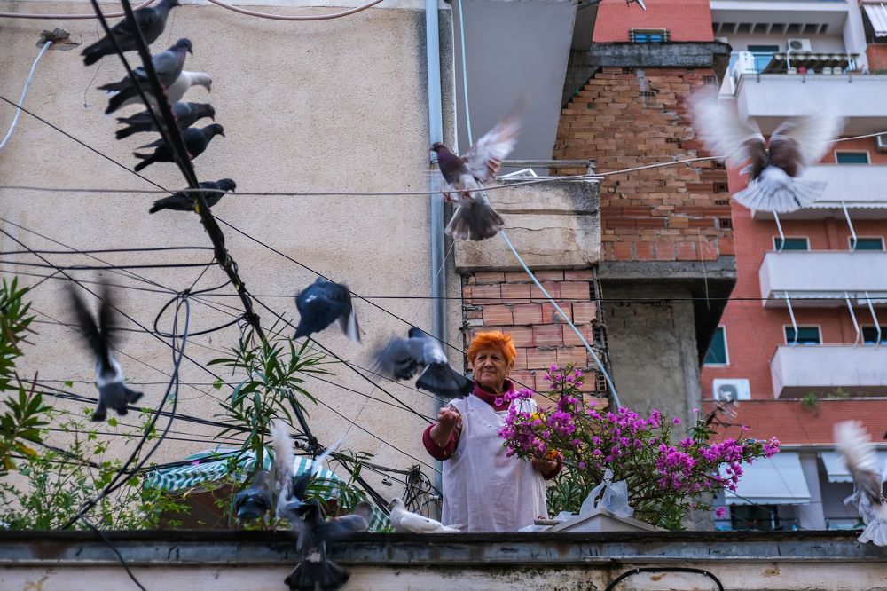 Photograph by Marc Nollet