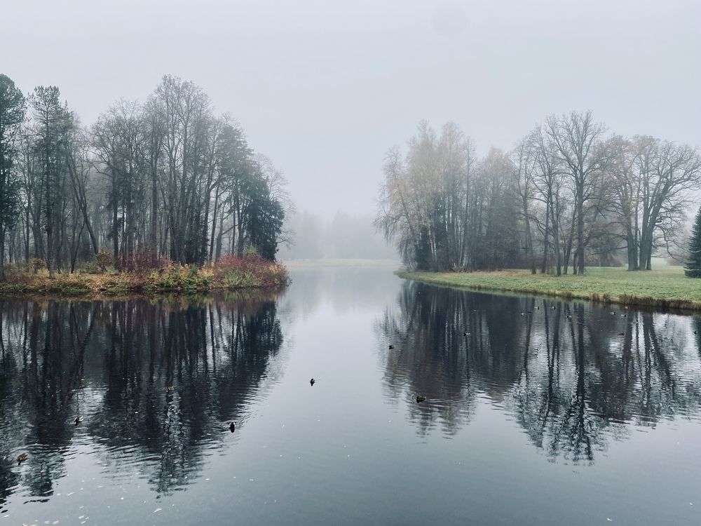 Photograph by Ива