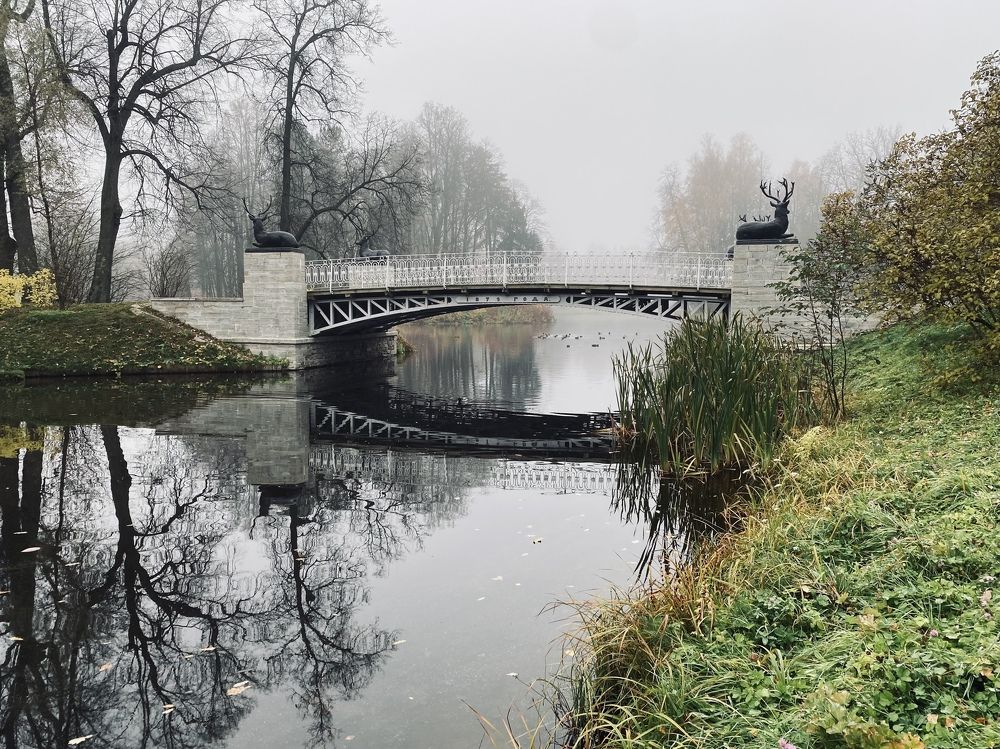 Photograph by Ива