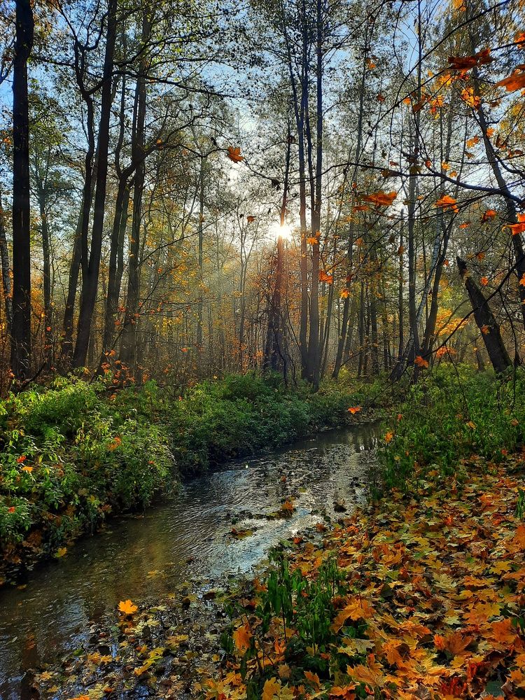 Photograph by Павел Борщев