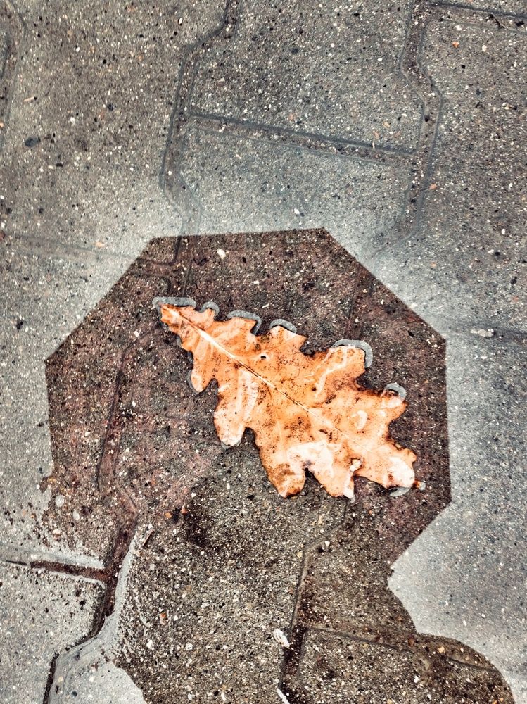 Фотография автора Anastassiya