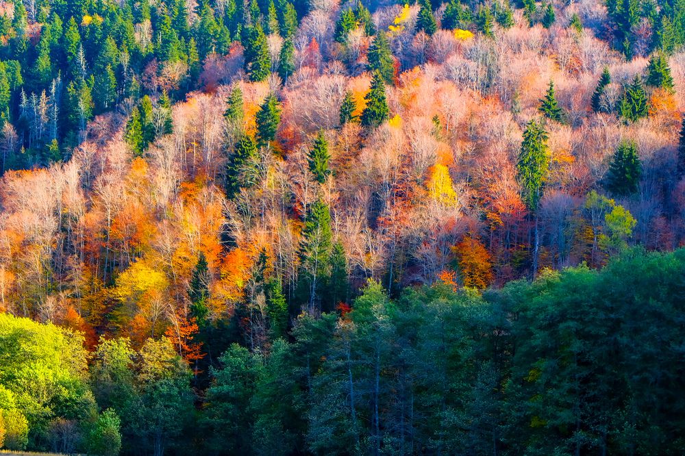 Photograph by baqar supertramp