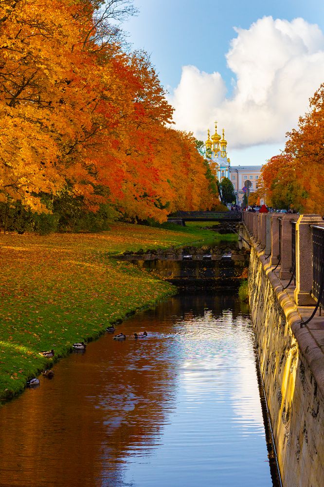 Photograph by Дмитрий Чудинин