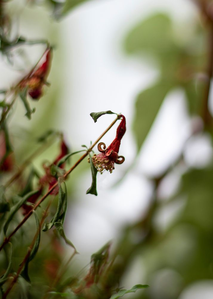 Photograph by Erfan Jahanbazi