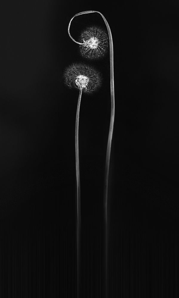 Закружилась голова