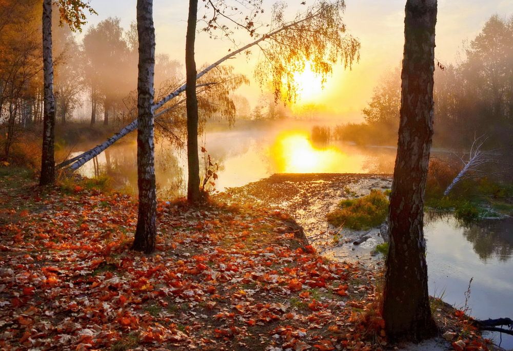 Photograph by Владимир Тертышник