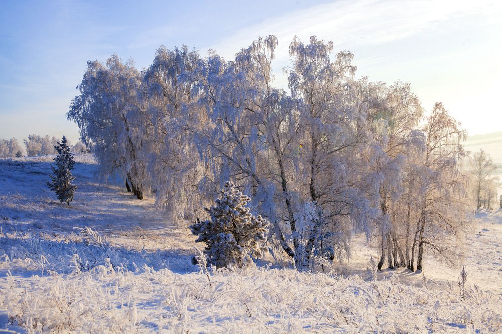 Фотография автора Рамиль Фаттахов
