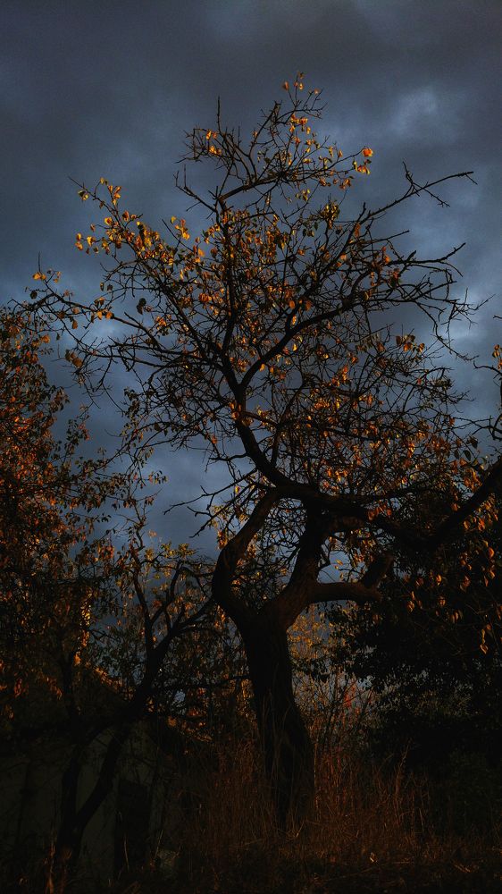 Photograph by Twizz Twizz