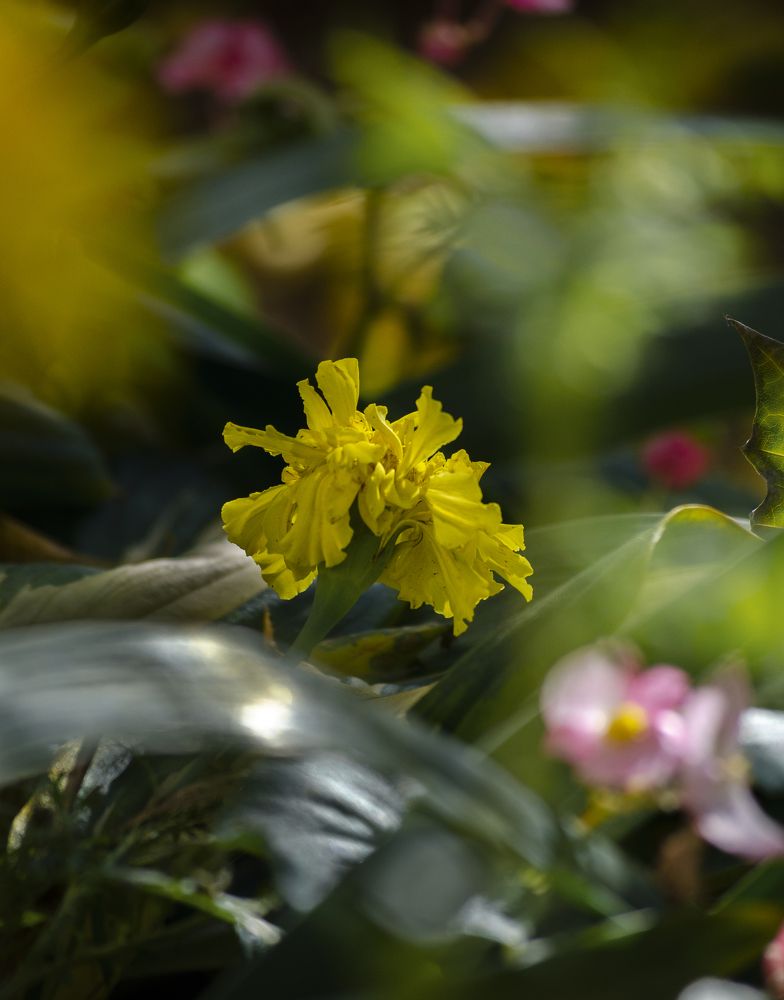 Photograph by Нина Чернявская