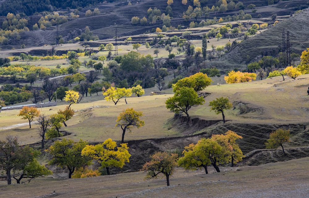 Photograph by Виктор Недашковский