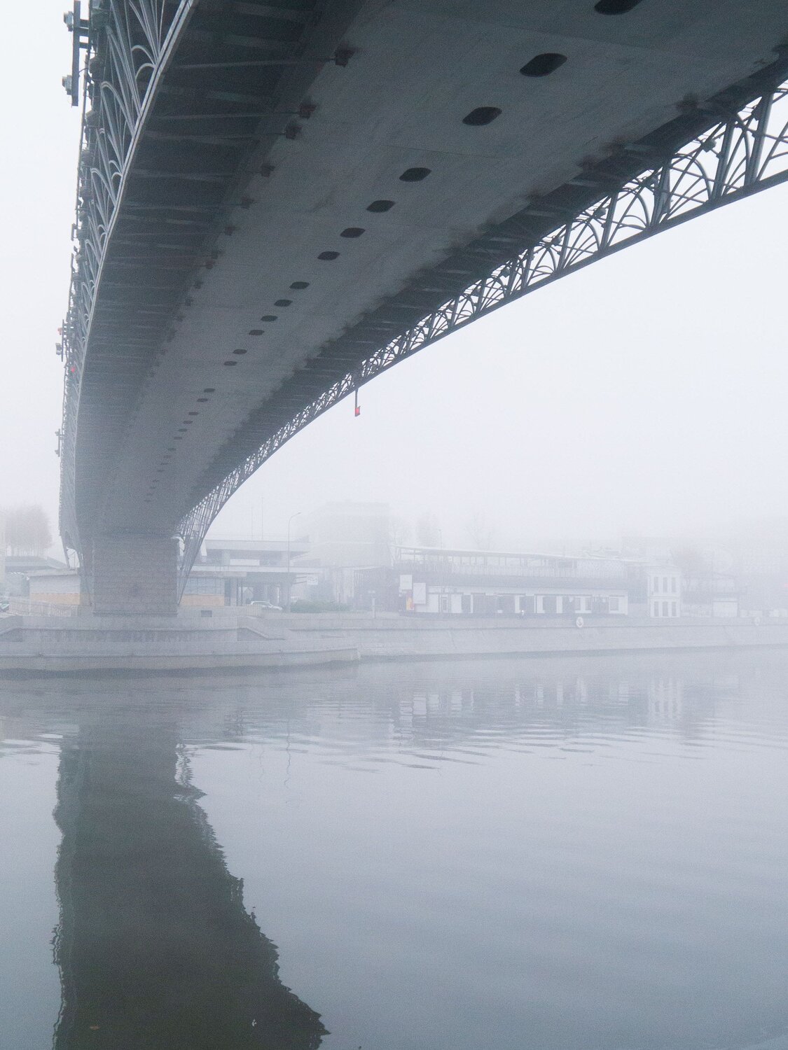 Photo #6718050