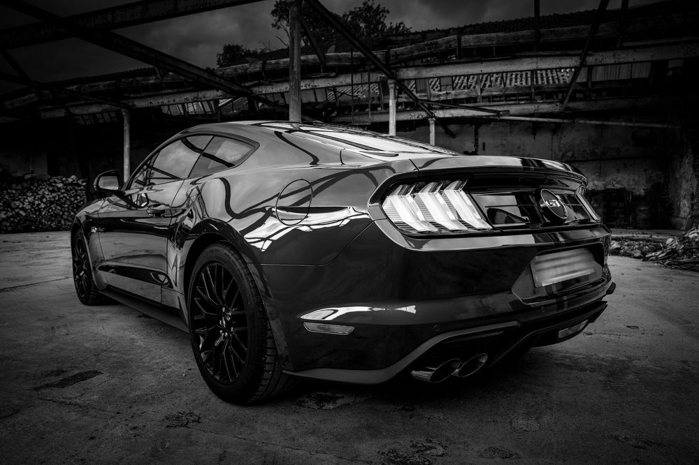 Mustang 3