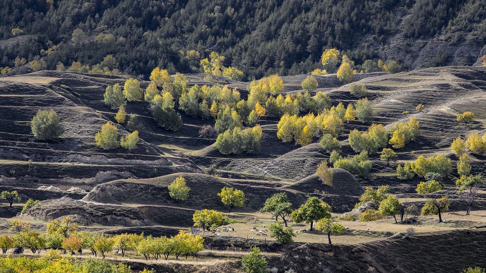 Photograph by Виктор Недашковский